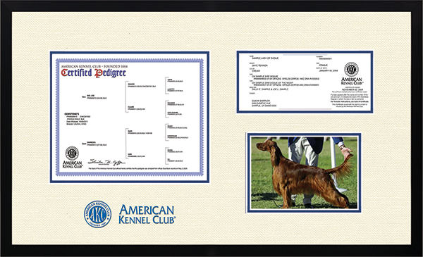 American Kennel Club photo frame - Dimensions Pedigree Certificate/Registration & 5'x7' Photo Frame in Gotham