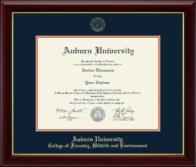 Auburn University diploma frame - Gold Embossed Diploma Frame in Gallery