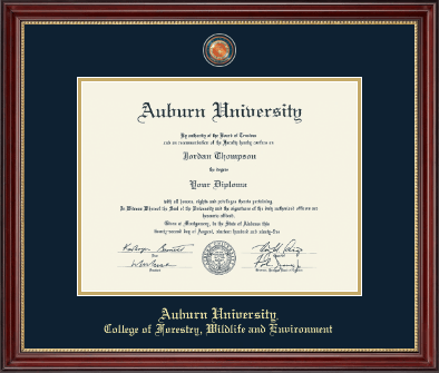 Auburn University diploma frame - Masterpiece Medallion Diploma Frame in Kensington Gold
