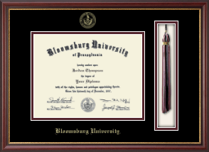 Tassel & Cord Diploma Frame