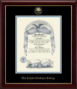 The Citadel The Military College of South Carolina Gold Embossed Diploma Frame in Gallery