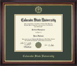 Gold Embossed Diploma Frame