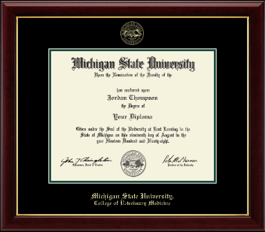 Michigan State University diploma frame - Gold Embossed Diploma Frame in Gallery