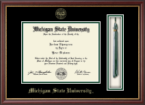 Michigan State University diploma frame - Tassel & Cord Diploma Frame in Newport