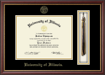 University of Illinois diploma frame - Tassel & Cord Diploma Frame in Newport