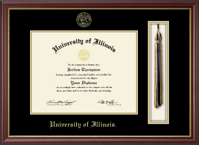 University of Illinois diploma frame - Tassel & Cord Diploma Frame in Newport