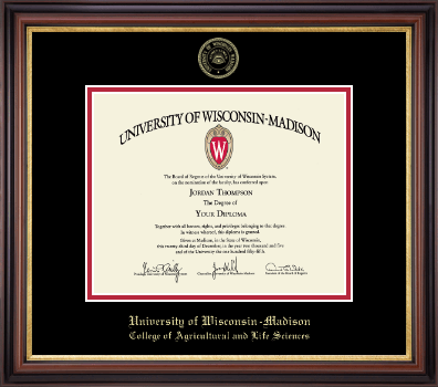 University of Wisconsin Madison diploma frame - Gold Embossed Diploma Frame in Regency Gold