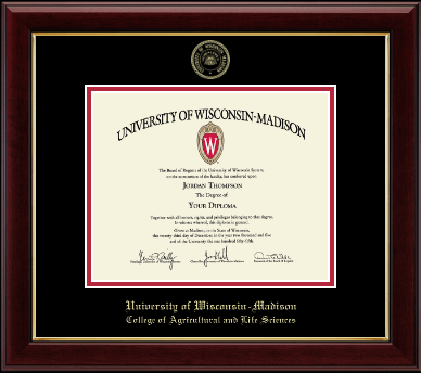University of Wisconsin Madison diploma frame - Gold Embossed Diploma Frame in Gallery