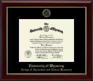 University of Wyoming diploma frame - Gold Embossed Diploma Frame in Gallery