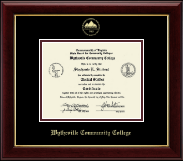 Wytheville Community College Gold Embossed Diploma Frame in Gallery