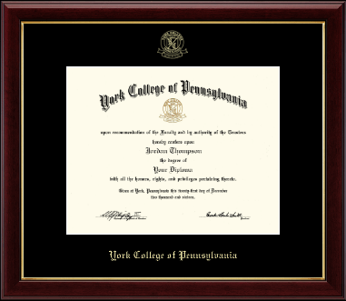 York College of Pennsylvania diploma frame - Gold Embossed Diploma Frame in Gallery
