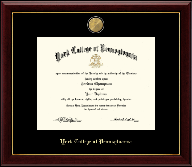 York College of Pennsylvania diploma frame - 23K Medallion Diploma Frame in Gallery
