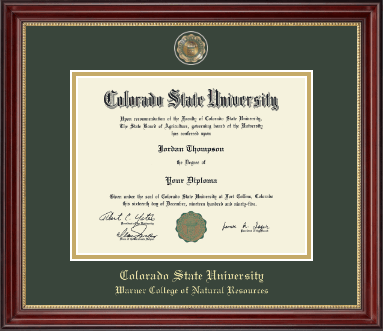 Colorado State University diploma frame - Masterpiece Medallion Diploma Frame in Kensington Gold