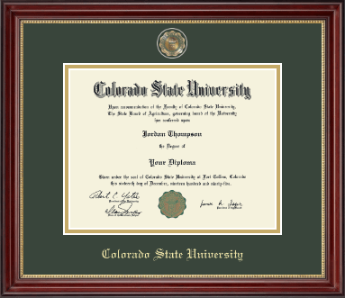 Colorado State University diploma frame - Masterpiece Medallion Diploma Frame in Kensington Gold