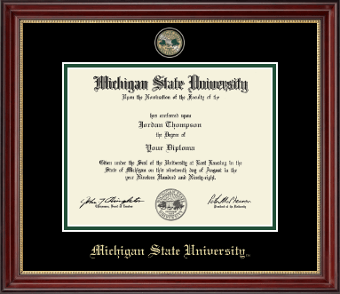 Michigan State University diploma frame - Masterpiece Medallion Diploma Frame in Kensington Gold