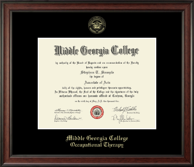 Middle Georgia College diploma frame - Gold Embossed Diploma Frame in Studio