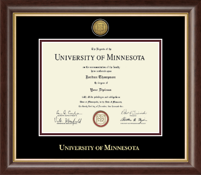 University of Minnesota diploma frame - Gold Engraved Medallion Diploma Frame in Hampshire