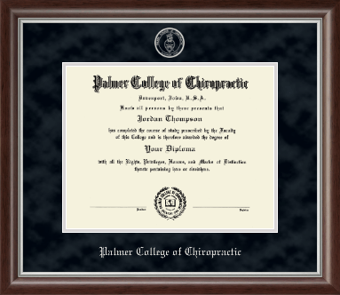 Palmer College of Chiropractic Iowa diploma frame - Silver Embossed Diploma Frame in Devonshire
