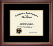 The United States Court of Appeals Certificate Frame in Kensington Gold