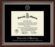 University of Wyoming diploma frame - Silver Embossed Diploma Frame in Devonshire