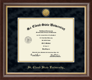 St. Cloud State University diploma frame - Gold Engraved Medallion Diploma Frame in Hampshire