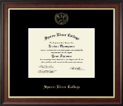 Spoon River College Gold Embossed Diploma Frame in Studio Gold