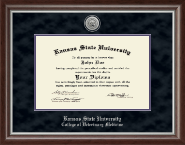 Kansas State University diploma frame - Silver Engraved Medallion Diploma Frame in Devonshire