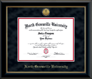 North Greenville University Gold Engraved Medallion Diploma Frame in Onyx Gold