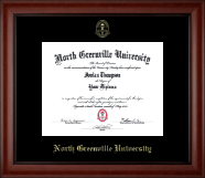 North Greenville University Gold Embossed Diploma Frame in Cambridge