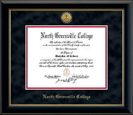 North Greenville College Gold Engraved Medallion Diploma Frame in Onyx Gold