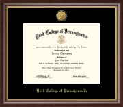 York College of Pennsylvania diploma frame - 23K Medallion Diploma Frame in Hampshire
