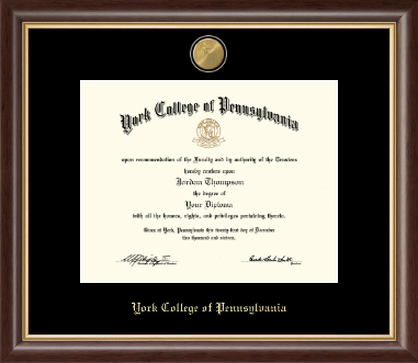 York College of Pennsylvania diploma frame - 23K Medallion Diploma Frame in Hampshire