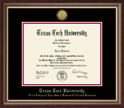 Texas Tech University diploma frame - Gold Engraved Medallion Diploma Frame in Hampshire