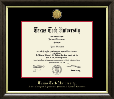 Texas Tech University diploma frame - Gold Engraved Medallion Diploma Frame in Hampshire