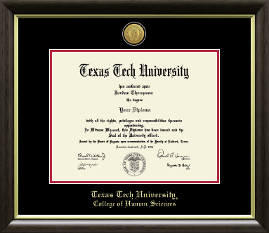 Texas Tech University diploma frame - Gold Engraved Medallion Diploma Frame in Hampshire