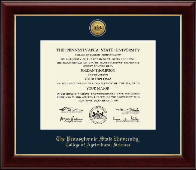 Pennsylvania State University diploma frame - Gold Engraved Medallion Diploma Frame in Gallery