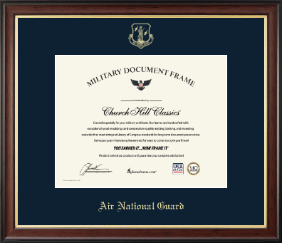 Air National Guard certificate frame - Air National Guard Honorable Discharge Certificate Frame in Studio Gold