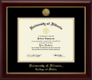 University of Illinois Gold Engraved Medallion Diploma Frame in Gallery