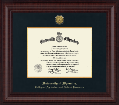 University of Wyoming diploma frame - Presidential Gold Engraved Diploma Frame in Premier