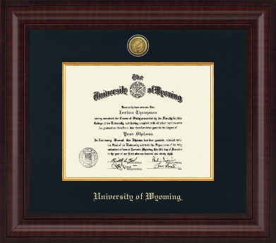 University of Wyoming diploma frame - Presidential Gold Engraved Diploma Frame in Premier