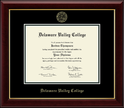 Delaware Valley University diploma frame - Gold Embossed Diploma Frame in Gallery