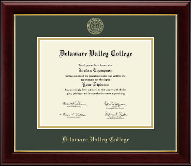 Delaware Valley University diploma frame - Gold Embossed Diploma Frame in Gallery
