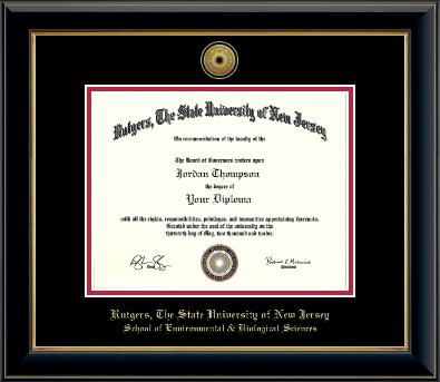 Rutgers University diploma frame - Gold Engraved Medallion Diploma Frame in Onyx Gold