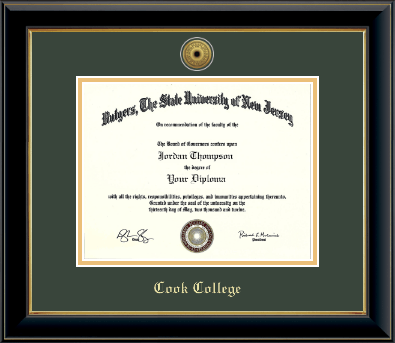 Rutgers University diploma frame - Gold Engraved Medallion Diploma Frame in Onyx Gold