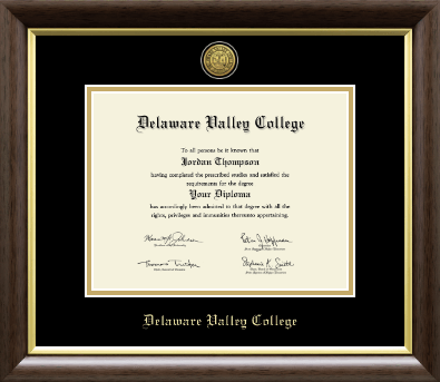Delaware Valley University diploma frame - Gold Engraved Medallion Diploma Frame in Hampshire