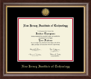 New Jersey Institute of Technology Gold Engraved Medallion Diploma Frame in Hampshire