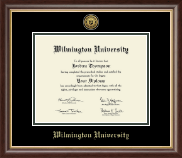 Wilmington University Gold Engraved Medallion Diploma Frame in Hampshire