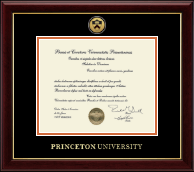 Princeton University Gold Engraved Medallion Diploma Frame in Gallery