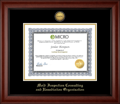 Mold Inspection Consulting and Remediation Organization certificate frame - Gold Engraved Medallion Certificate Frame in Cambridge