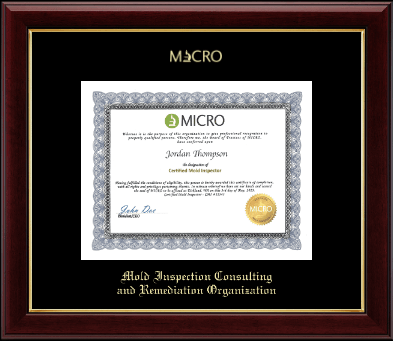 Mold Inspection Consulting and Remediation Organization certificate frame - Gold Embossed Certificate Frame in Gallery
